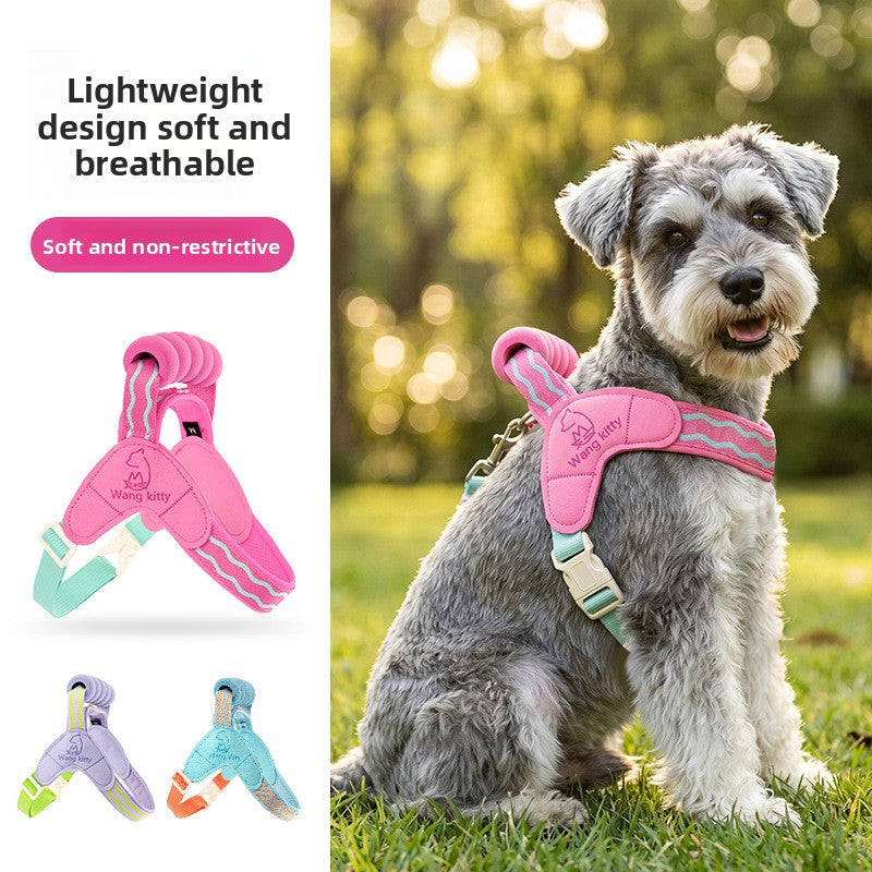Dog Harness