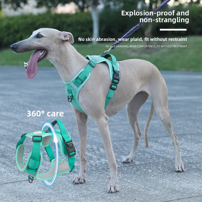 Dog Harness Vest-Style Leash Anti-Pull