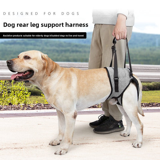 Dog Hind Leg Rehabilitation Support Belt