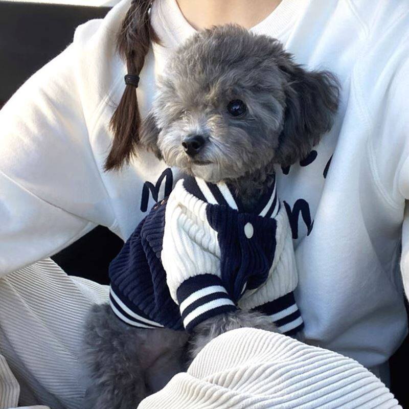 Dog Jacket