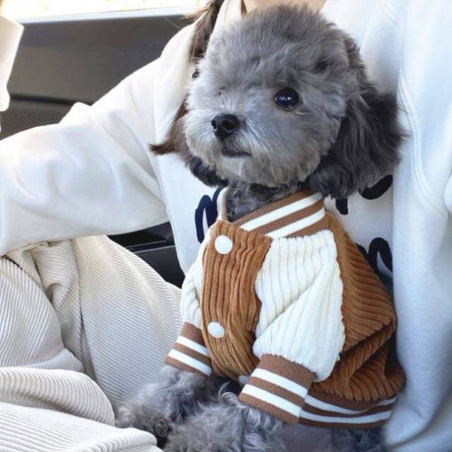 Dog Jacket