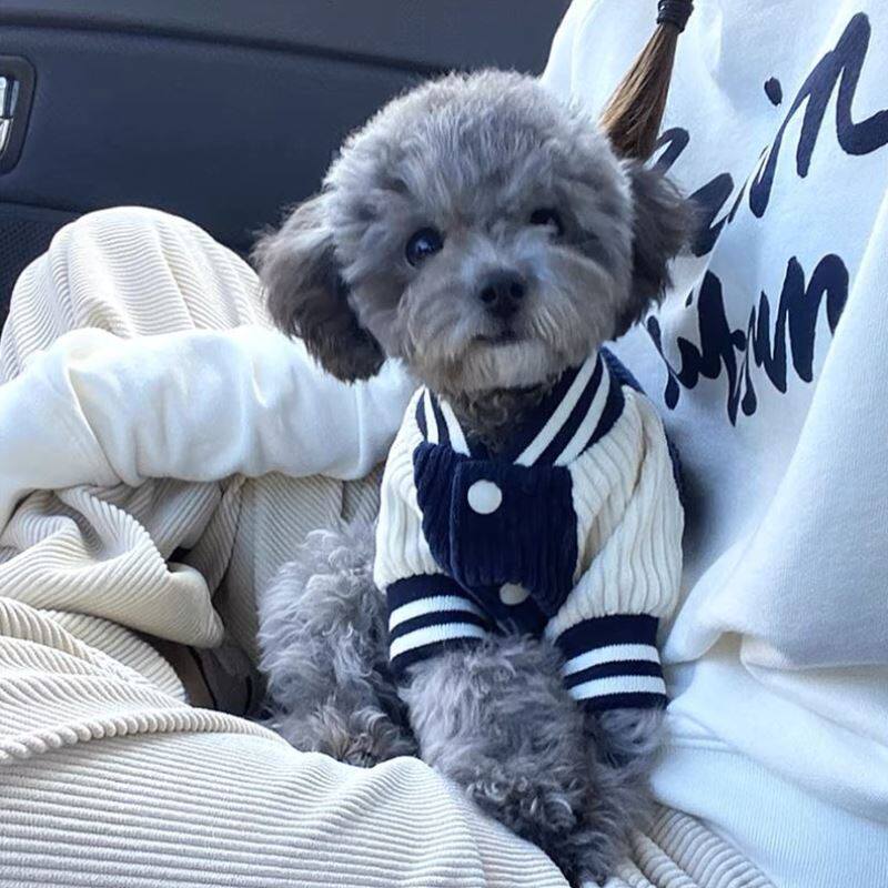 Dog Jacket