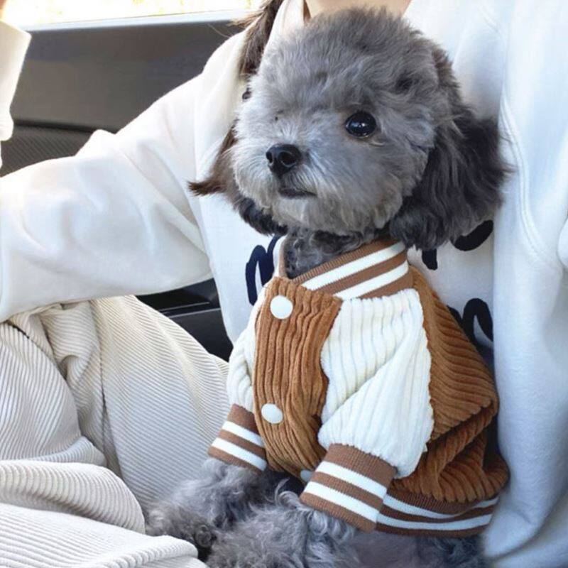 Dog Jacket