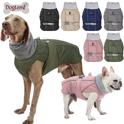 Dog jacket