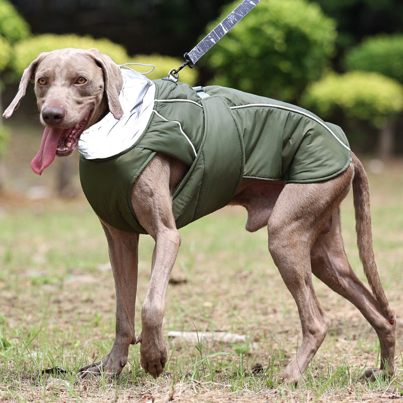 Dog jacket