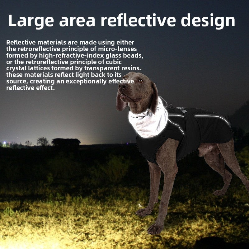 Dog jacket