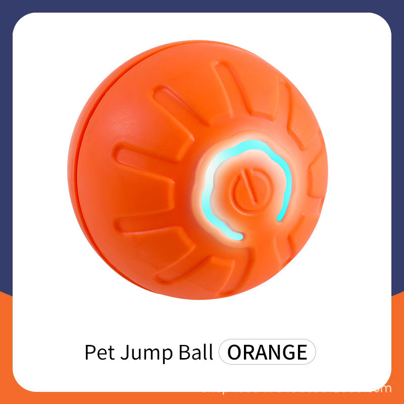 Dog jumping ball