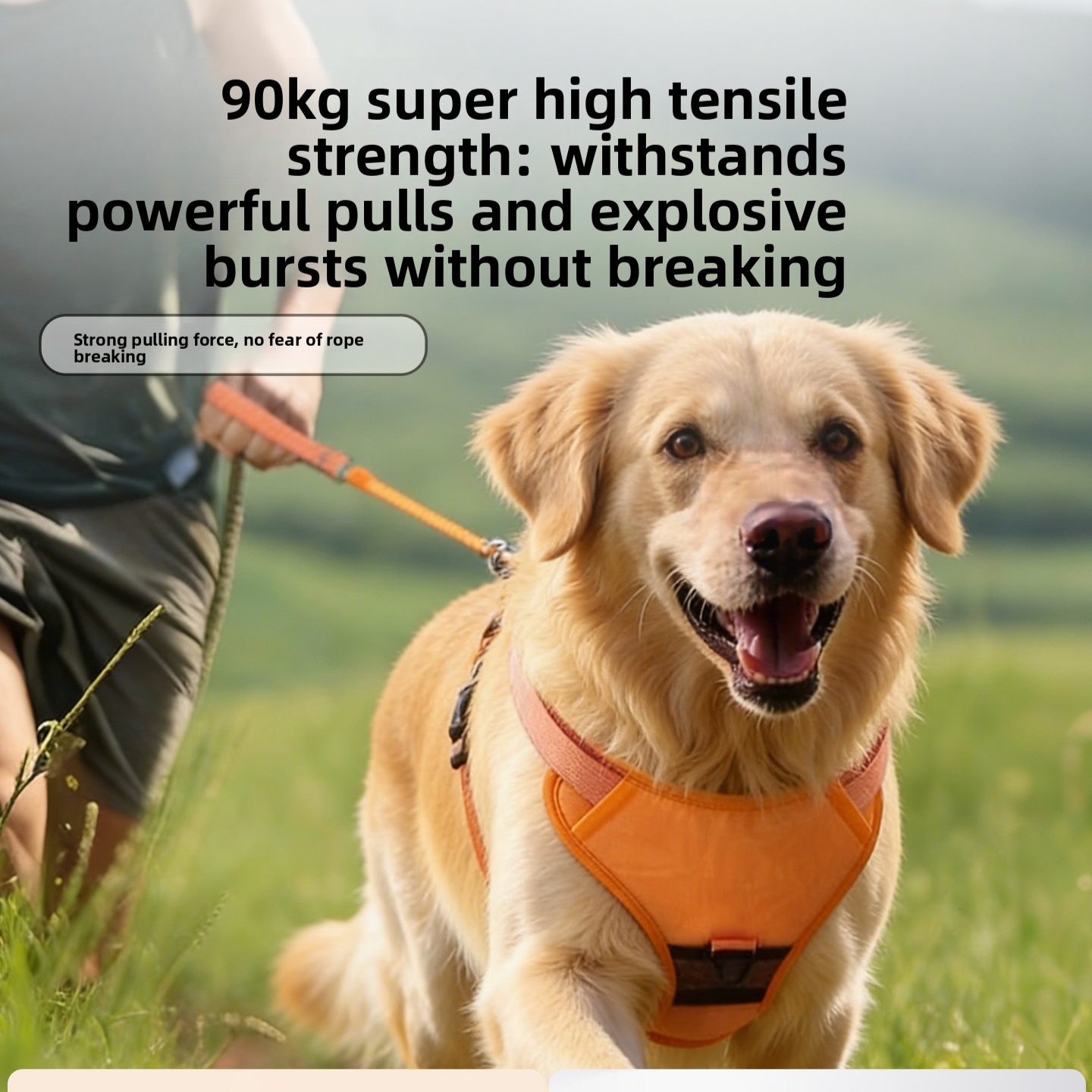 Dog Leash Harness