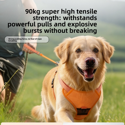 Dog Leash Harness
