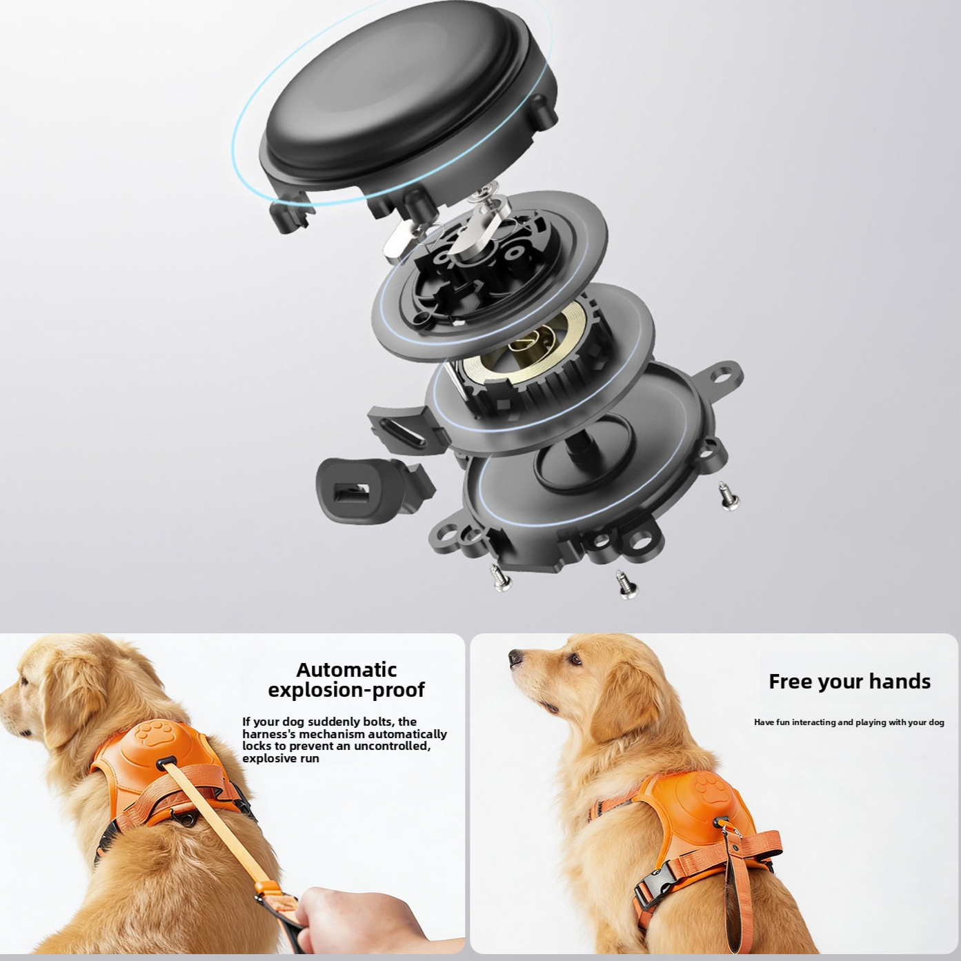 Dog Leash Harness
