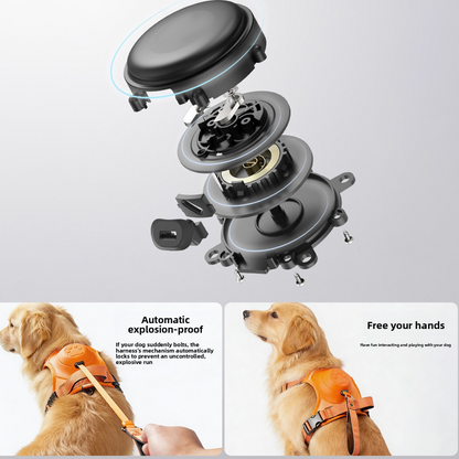 Dog Leash Harness
