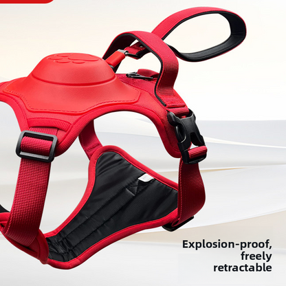 Dog Leash Harness