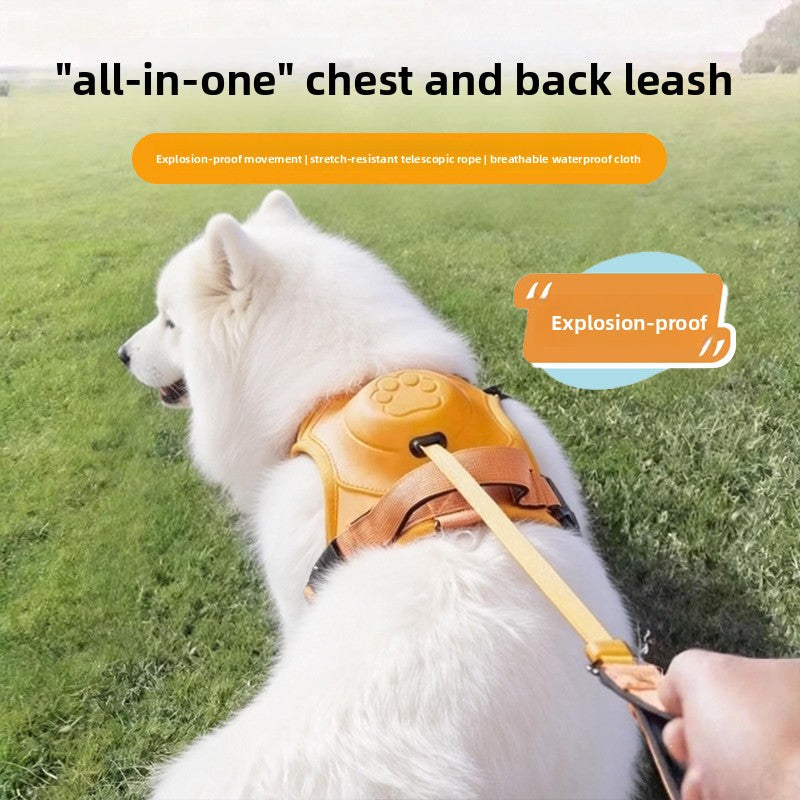Dog Leash Harness