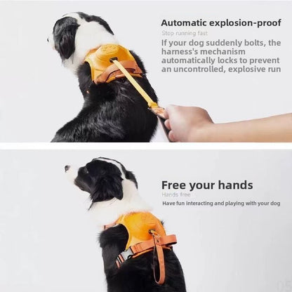 Dog Leash Harness