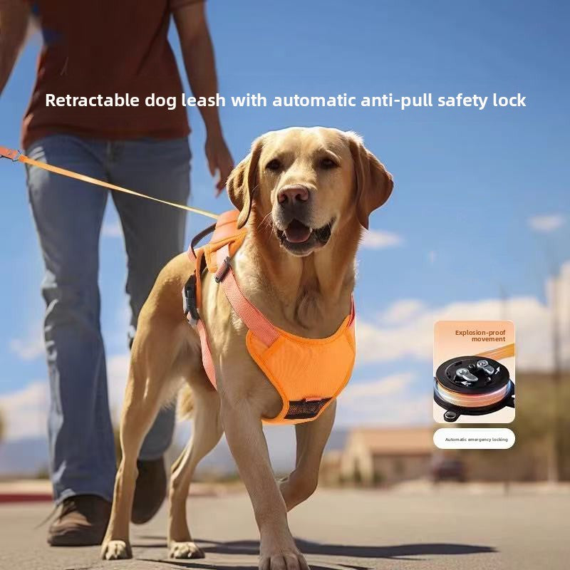 Dog Leash Harness