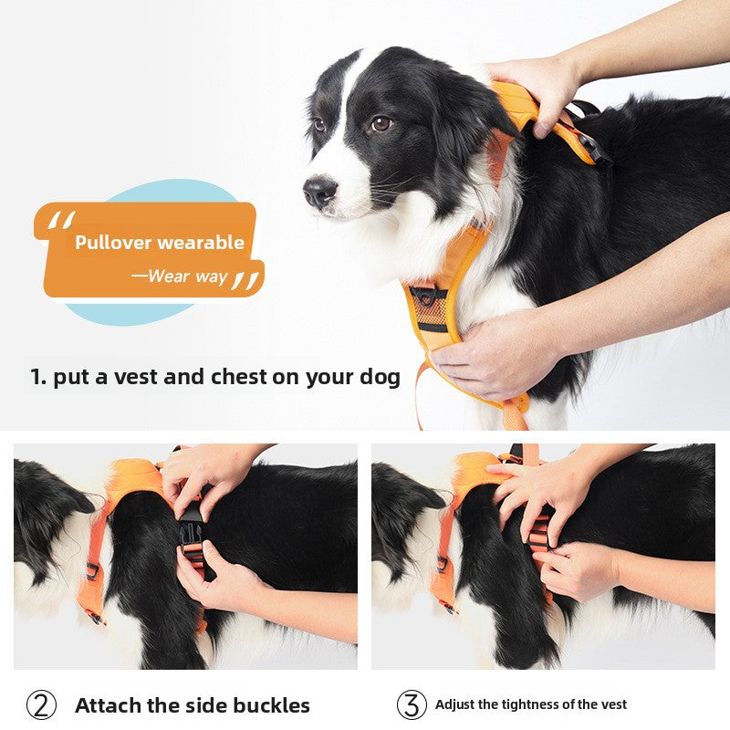 Dog Leash Harness