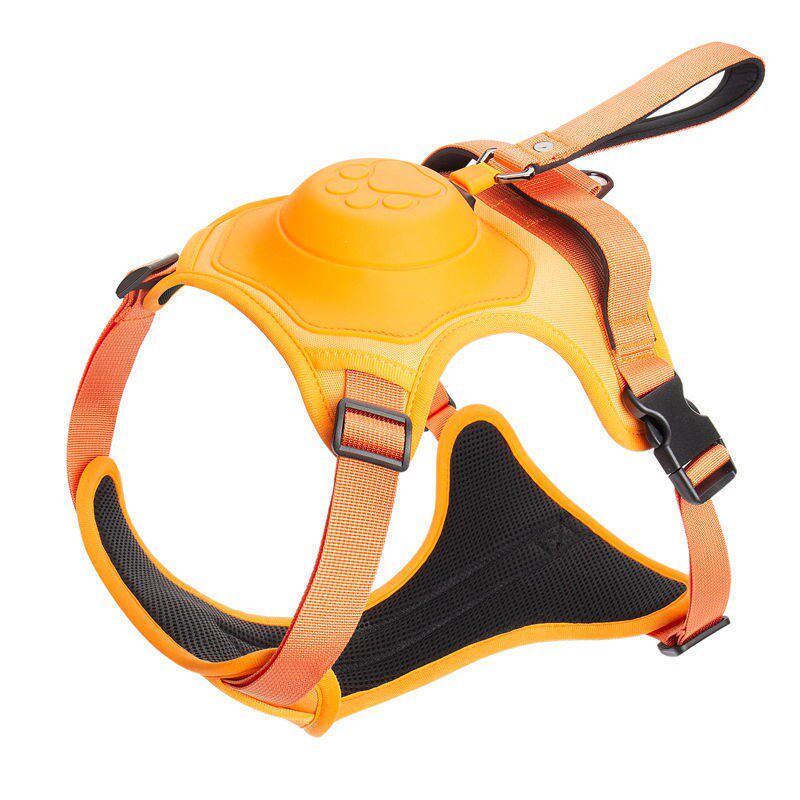 Dog Leash Harness