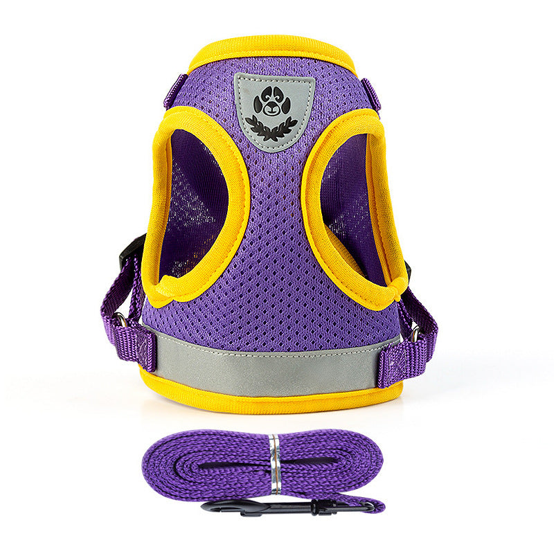 Dog leash on chest harness