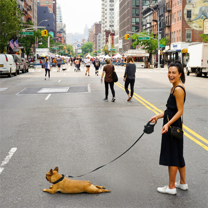 Dog Leash Set