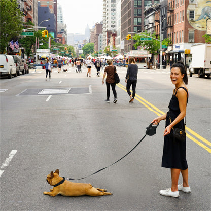 Dog Leash Set