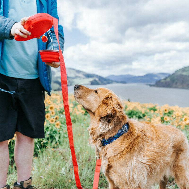 Dog Leash Set