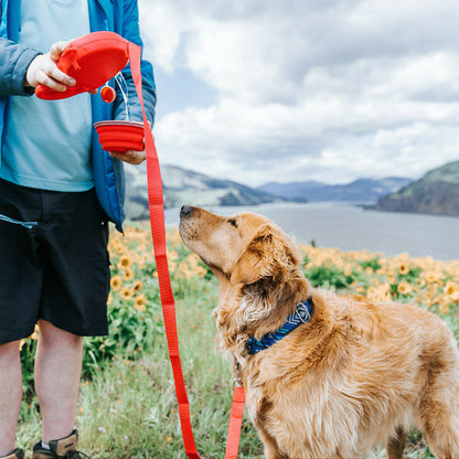 Dog Leash Set