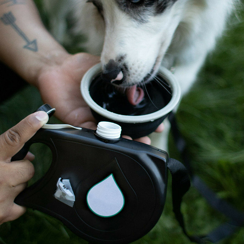 Dog Leash Set