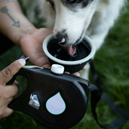 Dog Leash Set