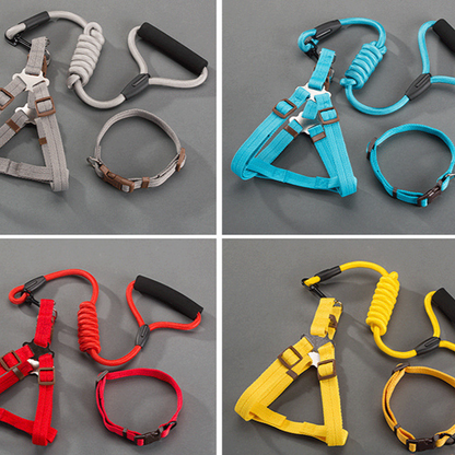 Dog Leash Set