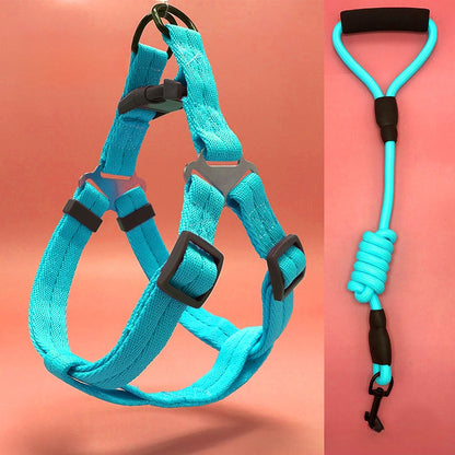 Dog Leash Set