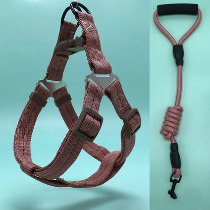 Dog Leash Set