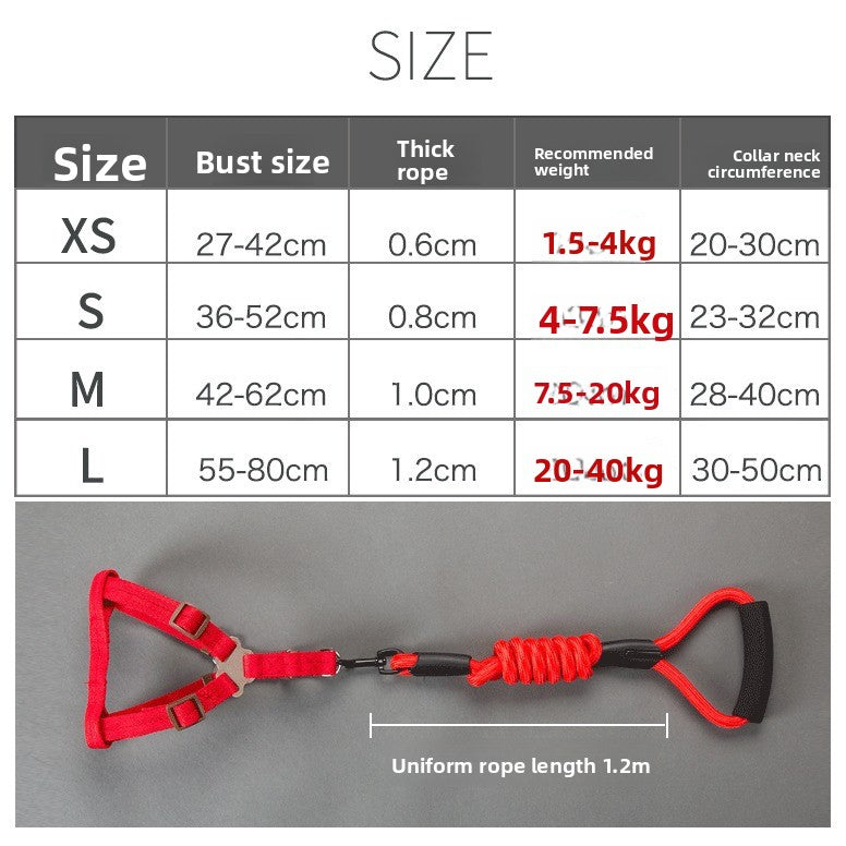 Dog Leash Set
