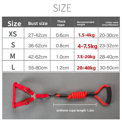 Dog Leash Set