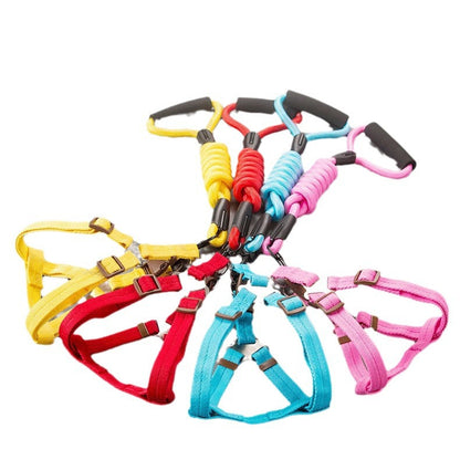 Dog Leash Set