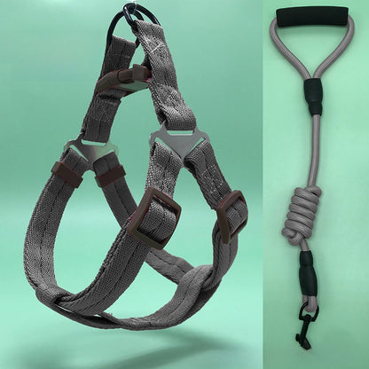 Dog Leash Set