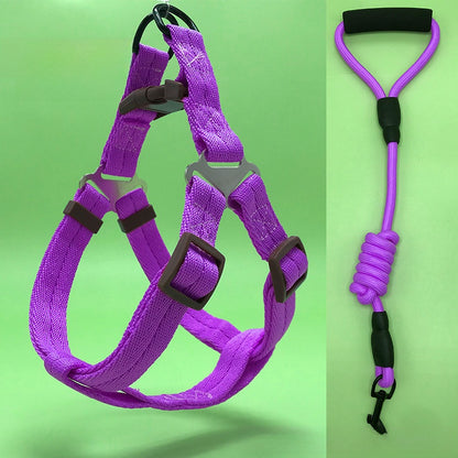 Dog Leash Set
