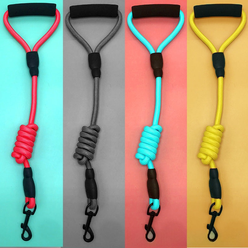 Dog Leash Set