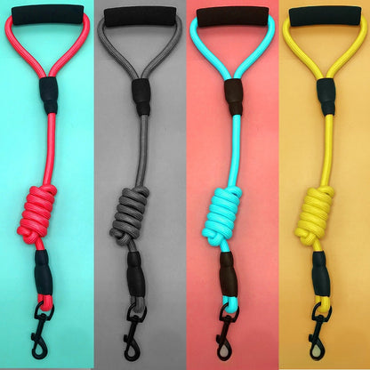 Dog Leash Set