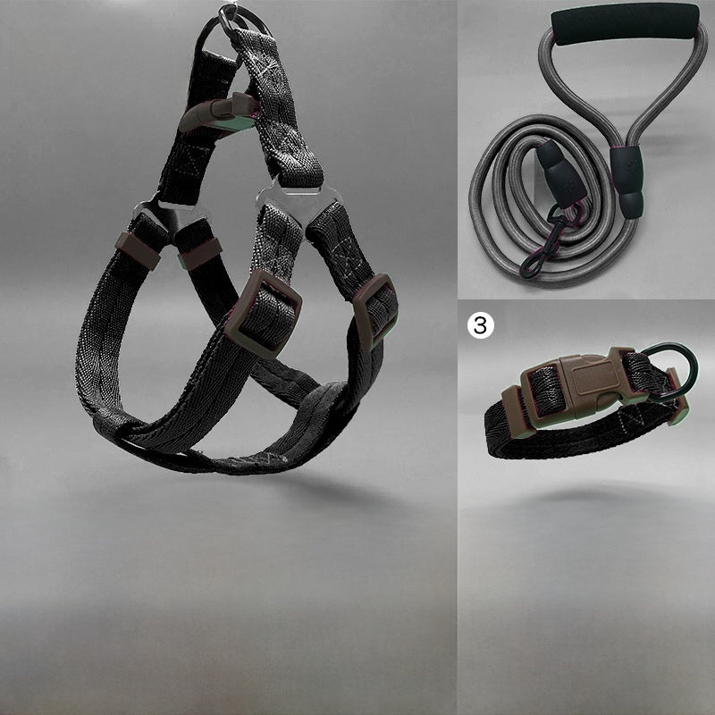 Dog Leash Set