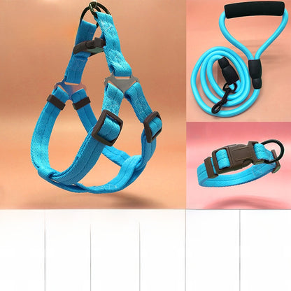 Dog Leash Set