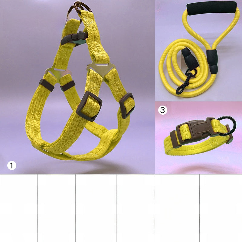Dog Leash Set