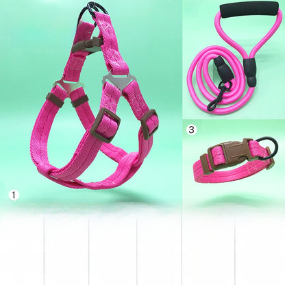 Dog Leash Set