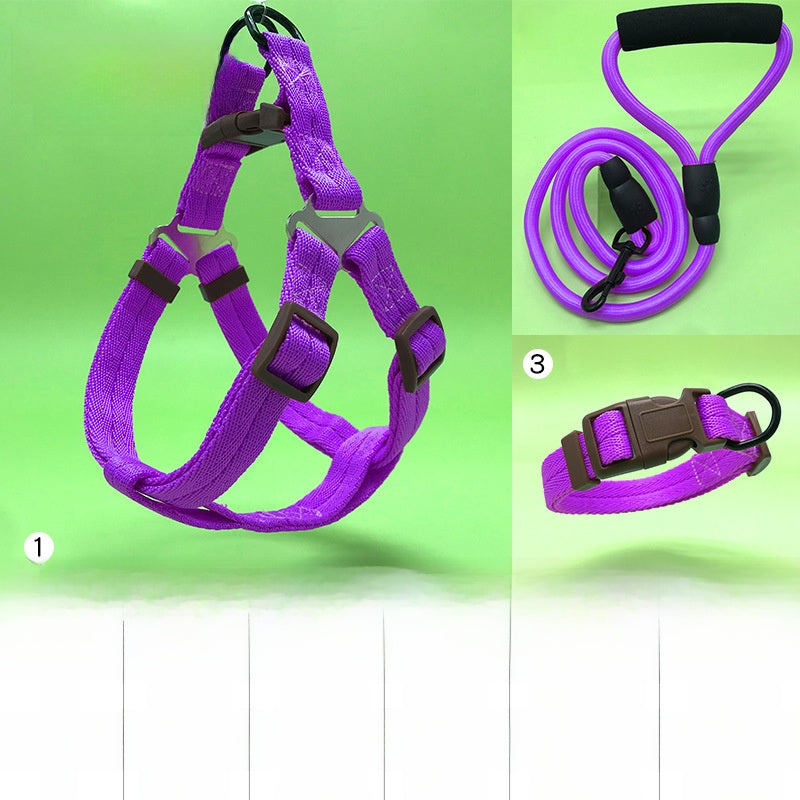 Dog Leash Set