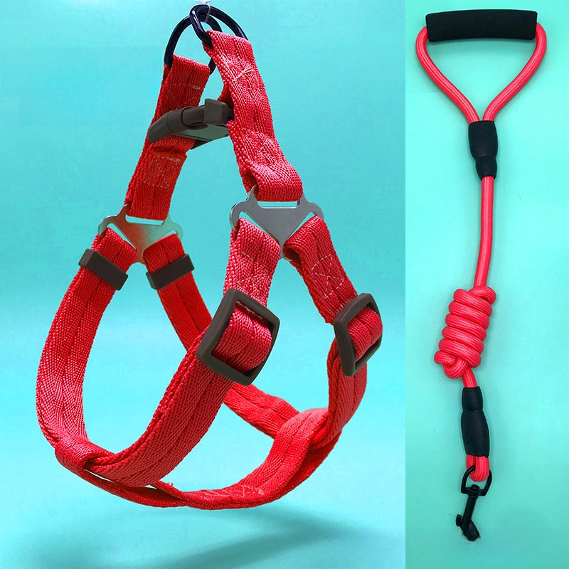 Dog Leash Set