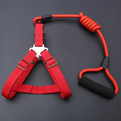 Dog Leash Set