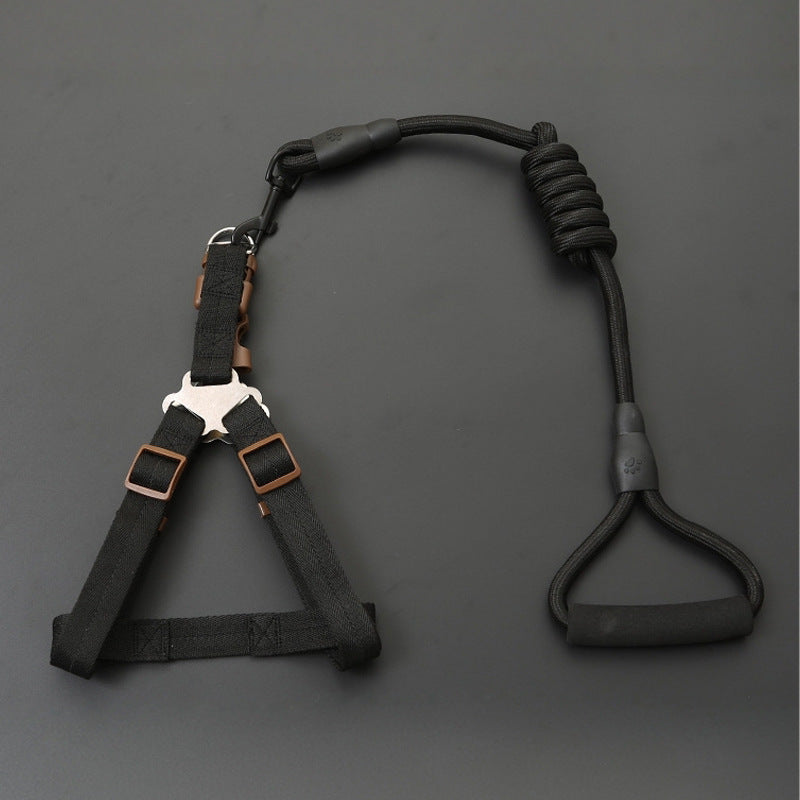 Dog Leash Set