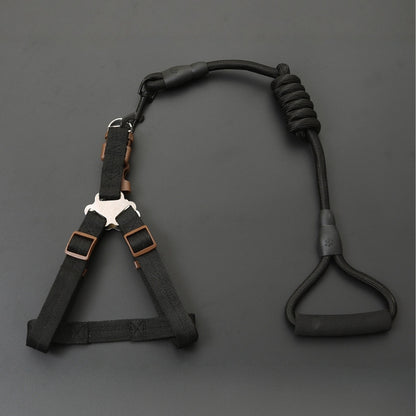 Dog Leash Set