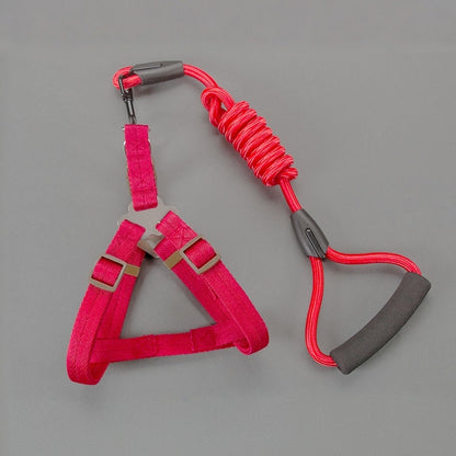 Dog Leash Set