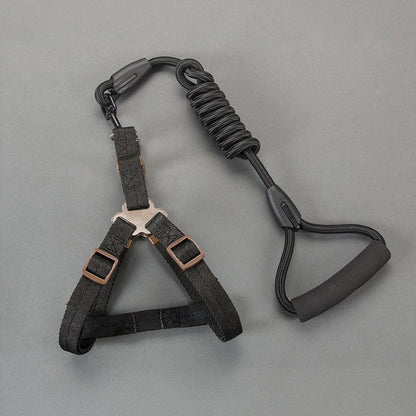 Dog Leash Set