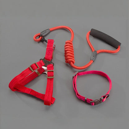 Dog Leash Set